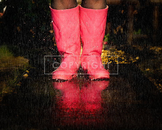 Splash ! - £75